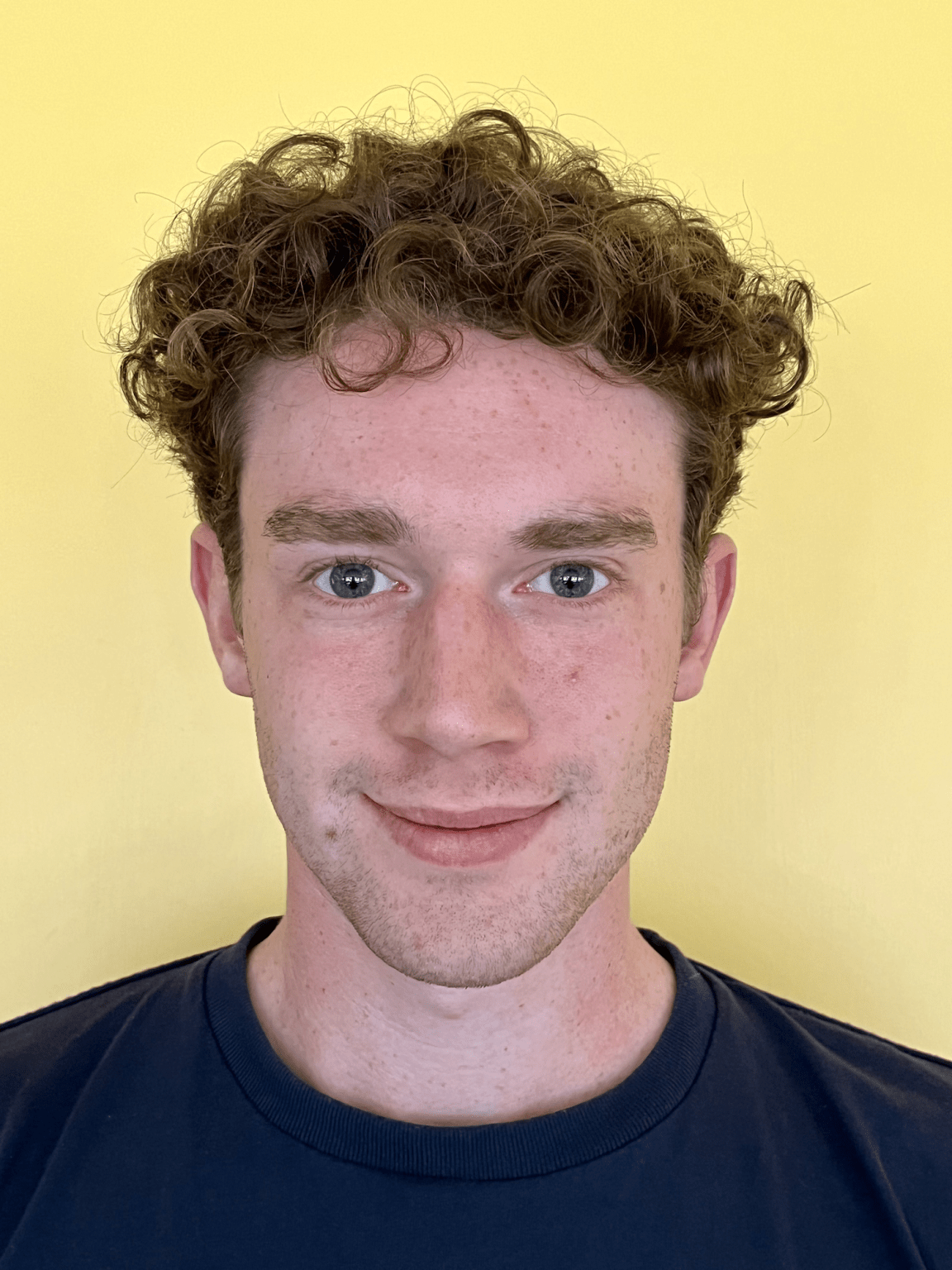 Henry Fitzpatrick – Institute for Energy and Environmental Flows